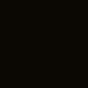 RR 33 Black