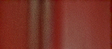       (PURAL MATT)