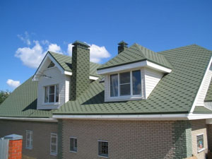  TEMA