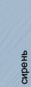 C FINEBER Standart 
